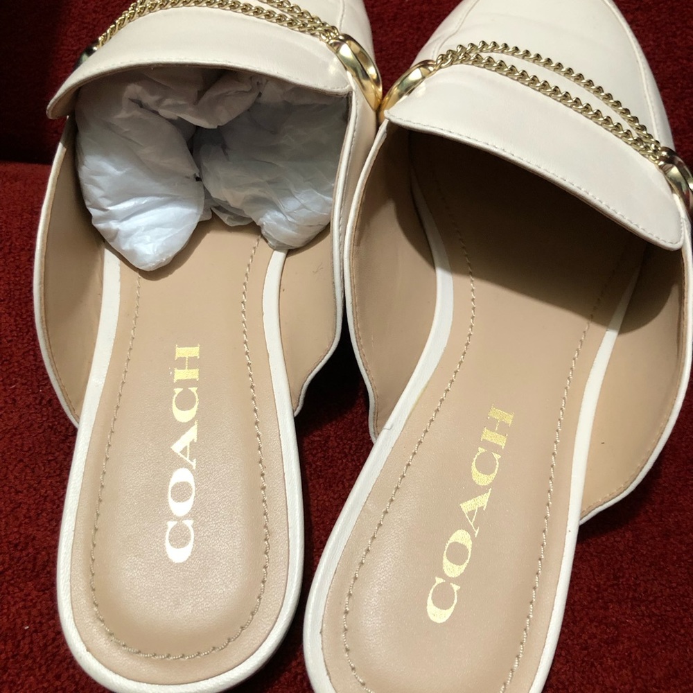 Coach slides - Picture 4 of 6